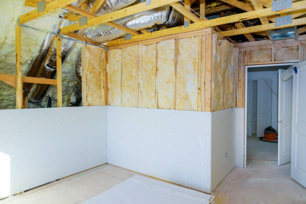 Best Insulation Maintenance and Repair in Avilla, IN