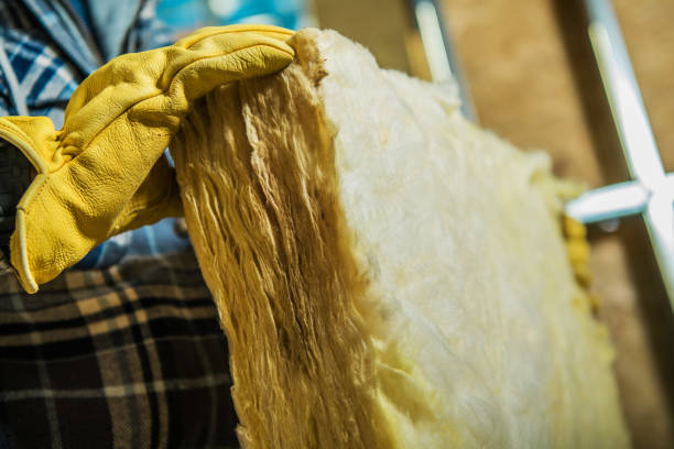 Types of Insulation We Offer in Avilla, IN